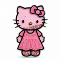 Pink Kitty Folding Mirror Case (Comes with A Strap)